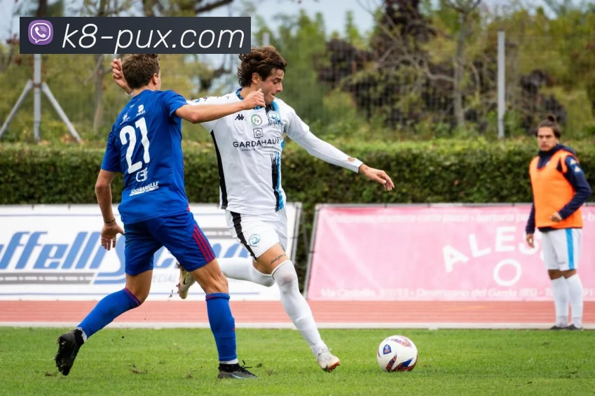 凯发娱乐平台展示图